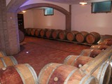 IMG_5481