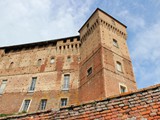 IMG_5502