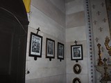 IMG_5636