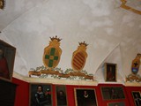 IMG_5647