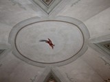 IMG_5661