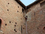 IMG_5707