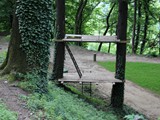 IMG_5730