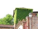 IMG_5759